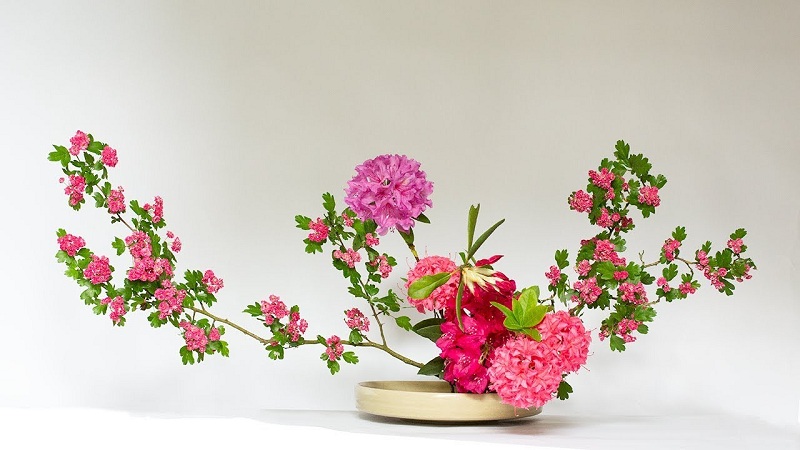 Trang trí cắm hoa nghệ thuật