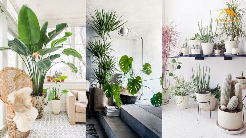 5 phụ kiện đơn giản cho nội thất nhà ở của bạn thêm sang trọng