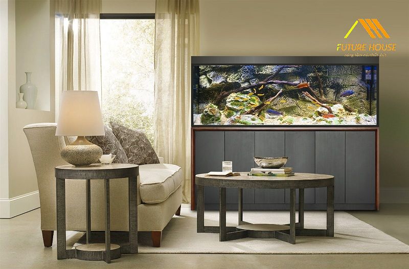 Vị trí đặt bể cá trong phòng làm việc hợp Phong Thủy